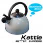 Stainless steel kettle