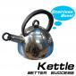 Stainless steel kettle