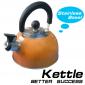 Stainless steel kettle