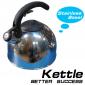 Stainless steel kettle