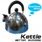 Stainless steel kettle