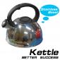 Stainless steel kettle