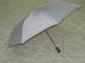 2 Folding atuo open & close umbrella 