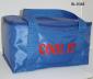 70D Nylon Cooler Bag