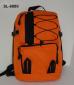 900D Polyester Rucksack