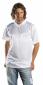 polyester t-shirt