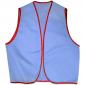 Volunteer Vest - Light Blue